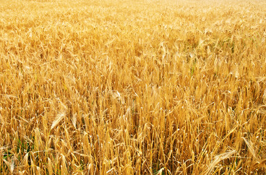 Similar image 8463597