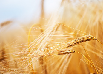 Similar image 8463601