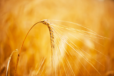 Similar image 8463607