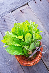 Similar image 8463694