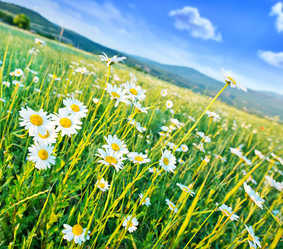 Similar image 8463885