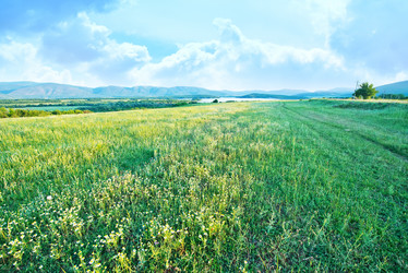 Similar image 8463886