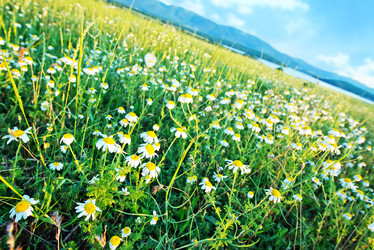 Similar image 8463887