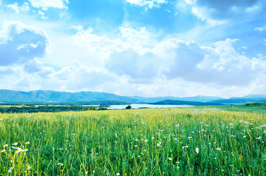 Similar image 8463889