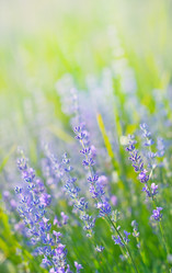 Similar image 8463900