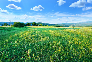 Similar image 8463907