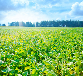 Similar image 8463914