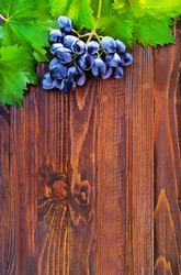 Similar image 8464007