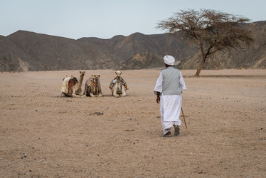 Similar image 8464720