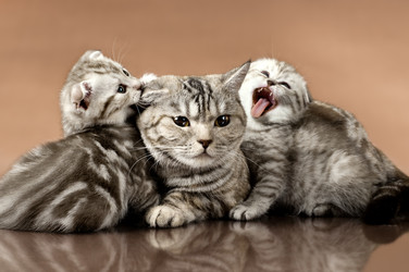 Similar image 8465878