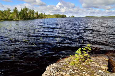 Similar image 8465922