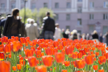 Similar image 8465926