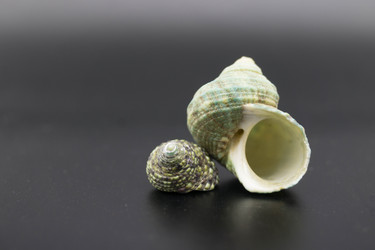 Similar image 8465928