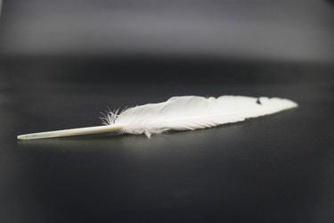 Similar image 8465931