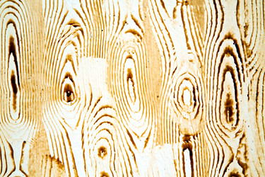 Similar image 8466022