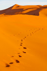 Similar image 8466024