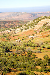 Similar image 8466060