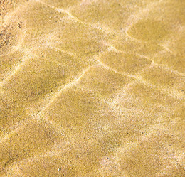 Similar image 8466069