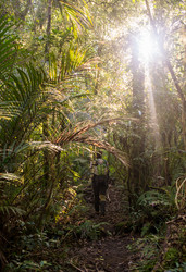 Similar image 8466079