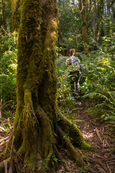 Similar image 8466080