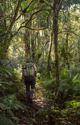 Similar image 8466095