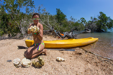 Similar image 8466100