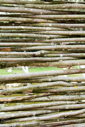 Similar image 8466157