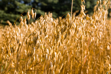 Similar image 8466175