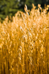 Similar image 8466177