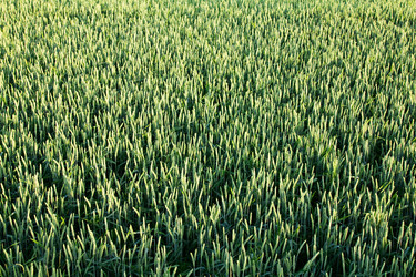 Similar image 8466212