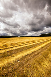 Similar image 8466357