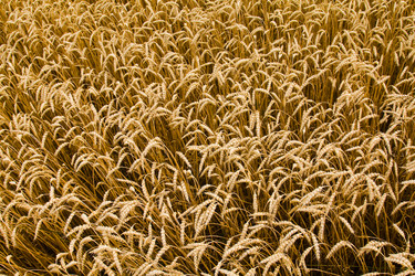 Similar image 8466425