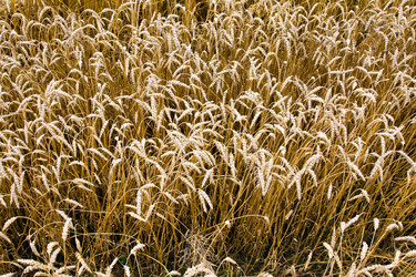 Similar image 8466426