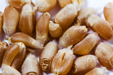 Similar image 8466484