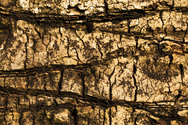 Similar image 8466486