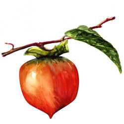 Similar image 8466563