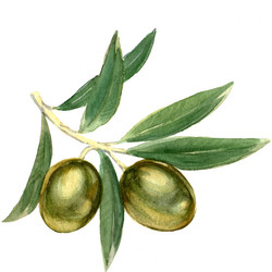 Similar image 8466564