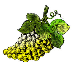 Similar image 8466565