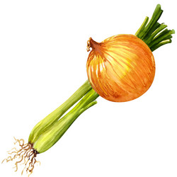 Similar image 8466594