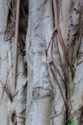 Similar image 8466663