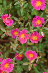 Similar image 8466770