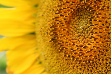 Similar image 8466784