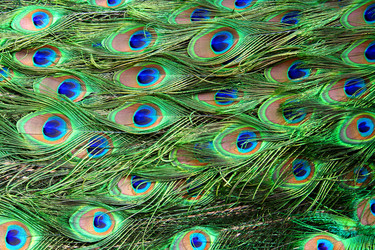 Similar image 8466807