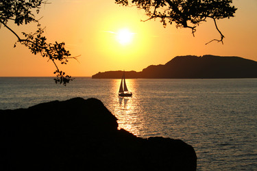 Similar image 8466808