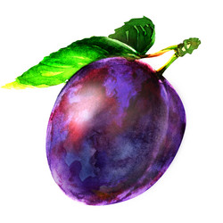 Similar image 8466811