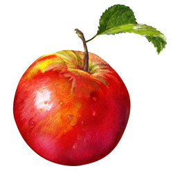 Similar image 8466812