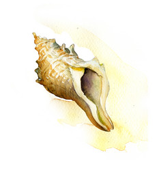 Similar image 8466818