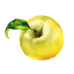 Similar image 8466821