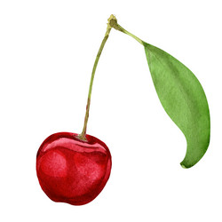 Similar image 8466825