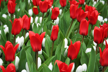 Similar image 8466829